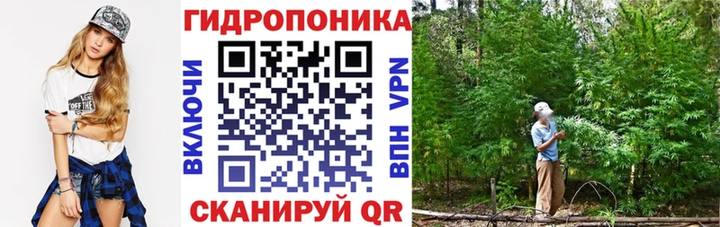 Шишки марихуана AK-47  Купить закладки  Лукоянов 